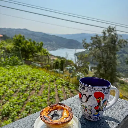 House Overlooking The Douro-casa Almas Pacos de Gaiolo